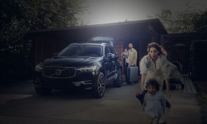 Xc60 family