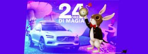 Magia-15
